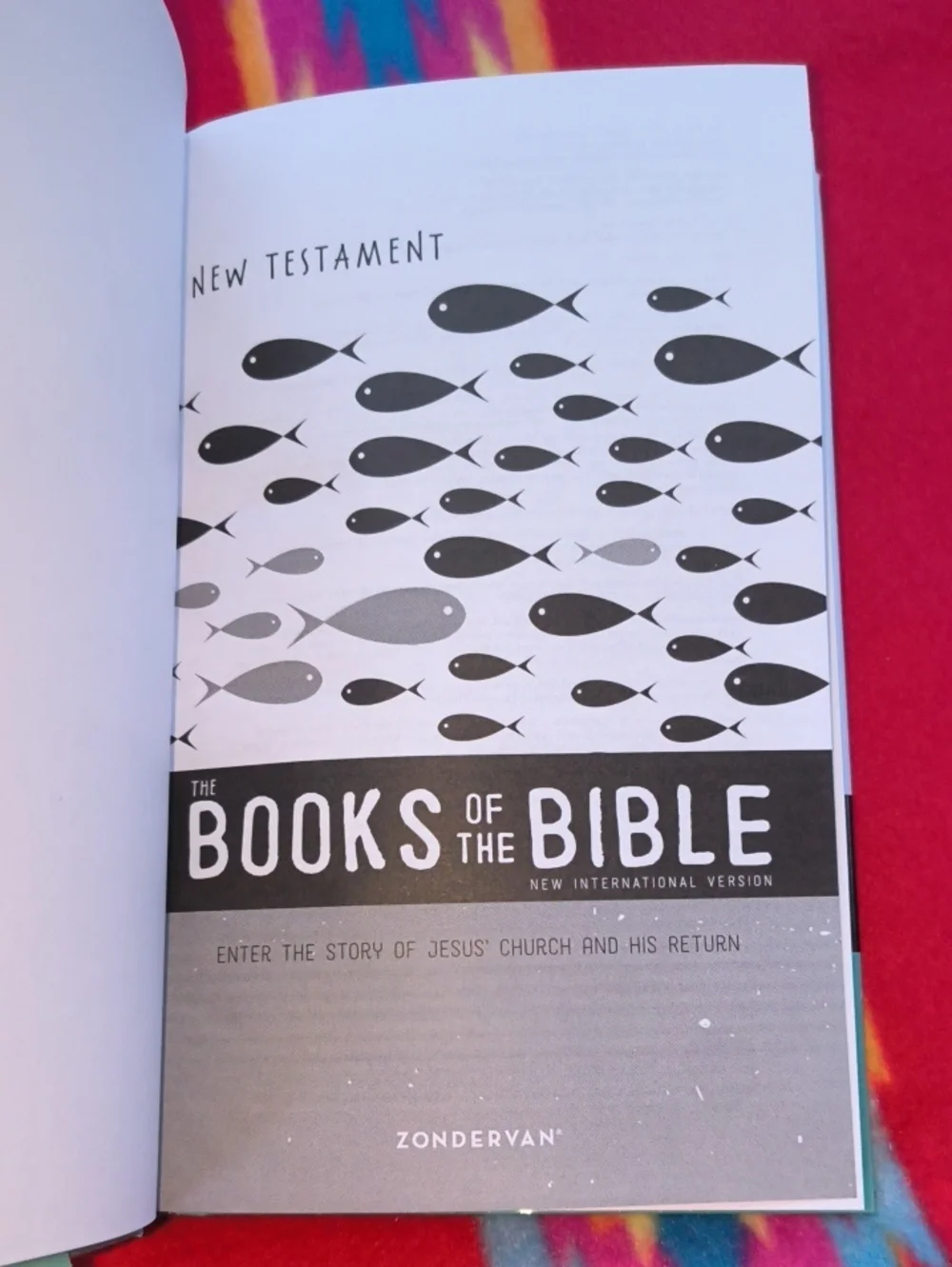 The Books of the Bible: New Testament: Enter the Story of Jesus’ Church and...